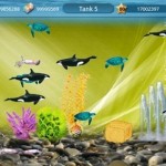 tap-fish-580-100_thumb